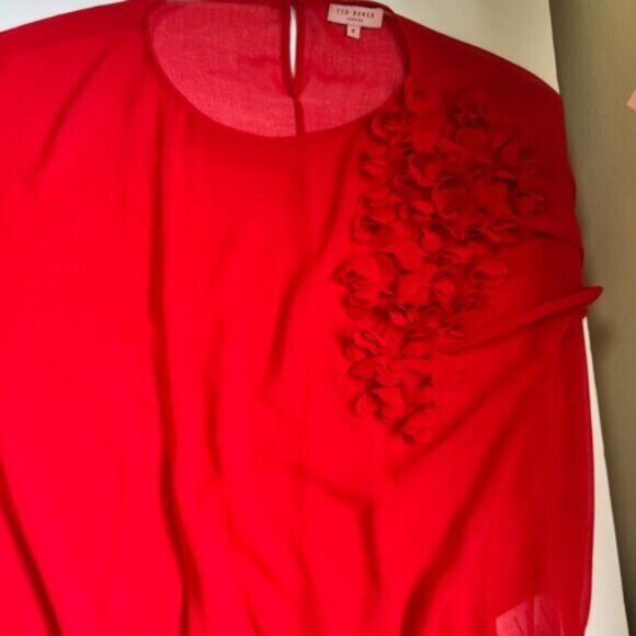 Ted Baker Floral Applique 3D Chiffon Sheer Top Blouse Crew Loose Red Box Fairy S - Picture 3 of 16